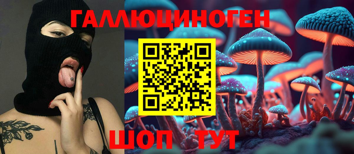 Электрогорск  Галлюциногенные грибы MAGIC MUSHROOMS  Вход с VPN 